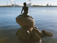 -美人鱼