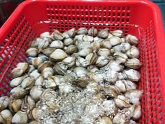 -金碧轩粤菜海鲜大酒楼