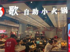 -龍歌自助小火锅(城阳万象汇店)