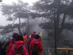 -庐山风景区花径公园