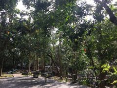 -七仙岭君澜度假酒店·桃源小馆中餐厅