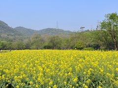 -八卦田遗址公园