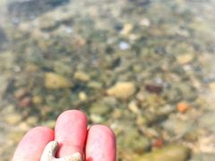 -三亚西岛海洋文化旅游区