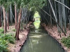 -同里国家湿地公园