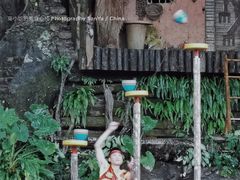 -海南槟榔谷黎苗文化旅游区