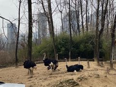 -杭州野生动物世界