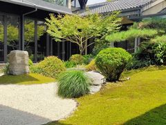 -新荣记(西溪湿地店)