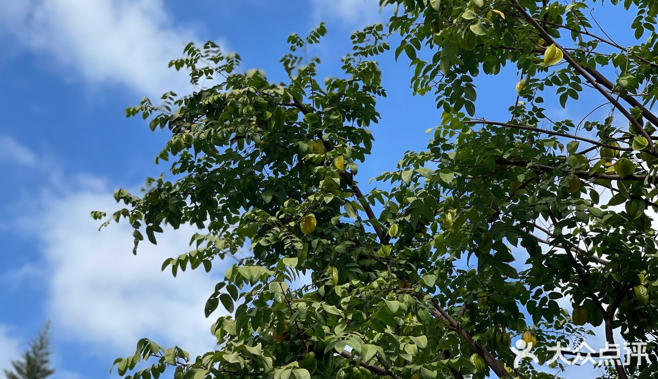福州传统甜点