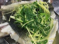 -红星光发煲仔饭(大石街店)