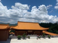-深圳仙湖植物园