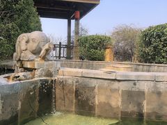 -徂徕山森林康养度假谷温泉