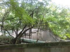 CIMG0555-乌山风景区