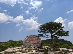 -王莽岭风景区