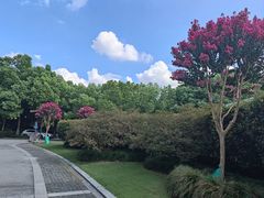 -杭州城北体育公园