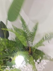 -HEYAN荷妍专业脱毛连锁机构