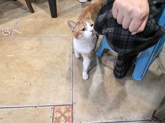 -周家大连水饺(美专校街店)