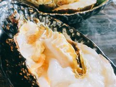 小青龙-舒友海鲜姿造(白鹭洲店)