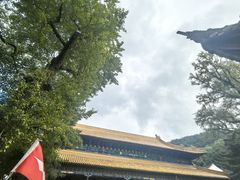 -普陀山风景名胜区-法雨禅寺