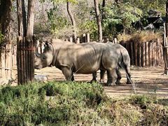 -北京野生动物园