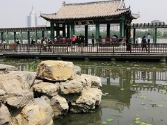 -莲花池公园