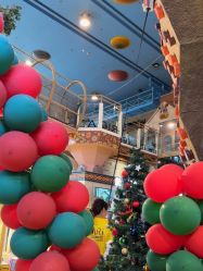 -卡通尼·Safari非洲探索乐园·生日会(金桥国际商业广场店)