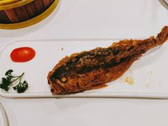 小黄鱼-大海湾酒楼(人南店)