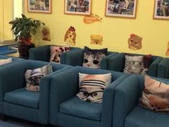 -瑞鹏宠物医院·爱宠堂·骨外专科(西荷分院)