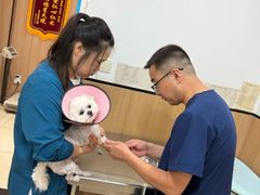 -米苏动物医院·犬猫专科·骨科外科内窥镜