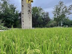 -北坞公园