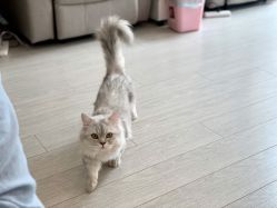 -Beauty Nails 美甲美睫皮肤管理