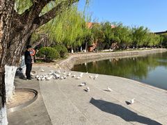 -上海交通大学(闵行校区)