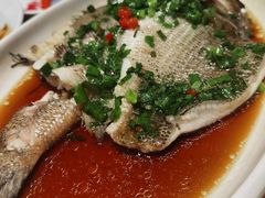葱油鲈鱼-老头儿油爆虾(金鹰世界店)