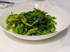 生炒连州高山菜心-炳胜品味(珠江新城店)