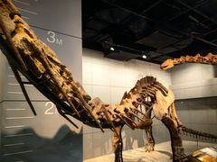 -浙江自然博物院(杭州馆)