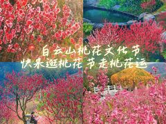 -桃花涧