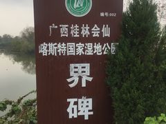 -会仙湿地