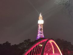 -金鸡山公园