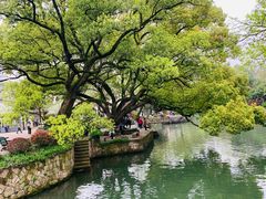 -西溪国家湿地公园