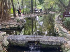 -成都市活水公园
