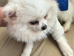 -怪兽屋·羊驼·猫咖·狗咖(俊华广场店)