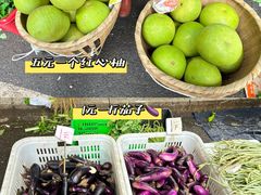 -红星农贸综合市场