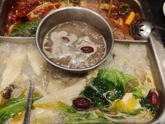 -渝福顺重庆火锅(雷锋路店)