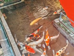 -太阳门淮扬菜(南京博物院店)