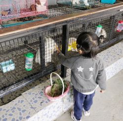 -可可天空农场(东部新城银泰店)