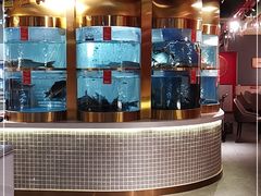 水产区-蜀滋香鲜鱼美蛙火锅(339店)