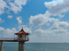 -小麦岛公园