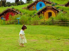 -武汉紫薇都市田园