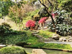 -广州市白云山风景名胜区