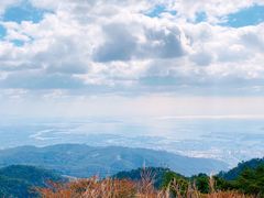 -神户市立六甲山牧场