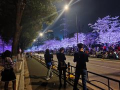 -西北湖绿化广场
